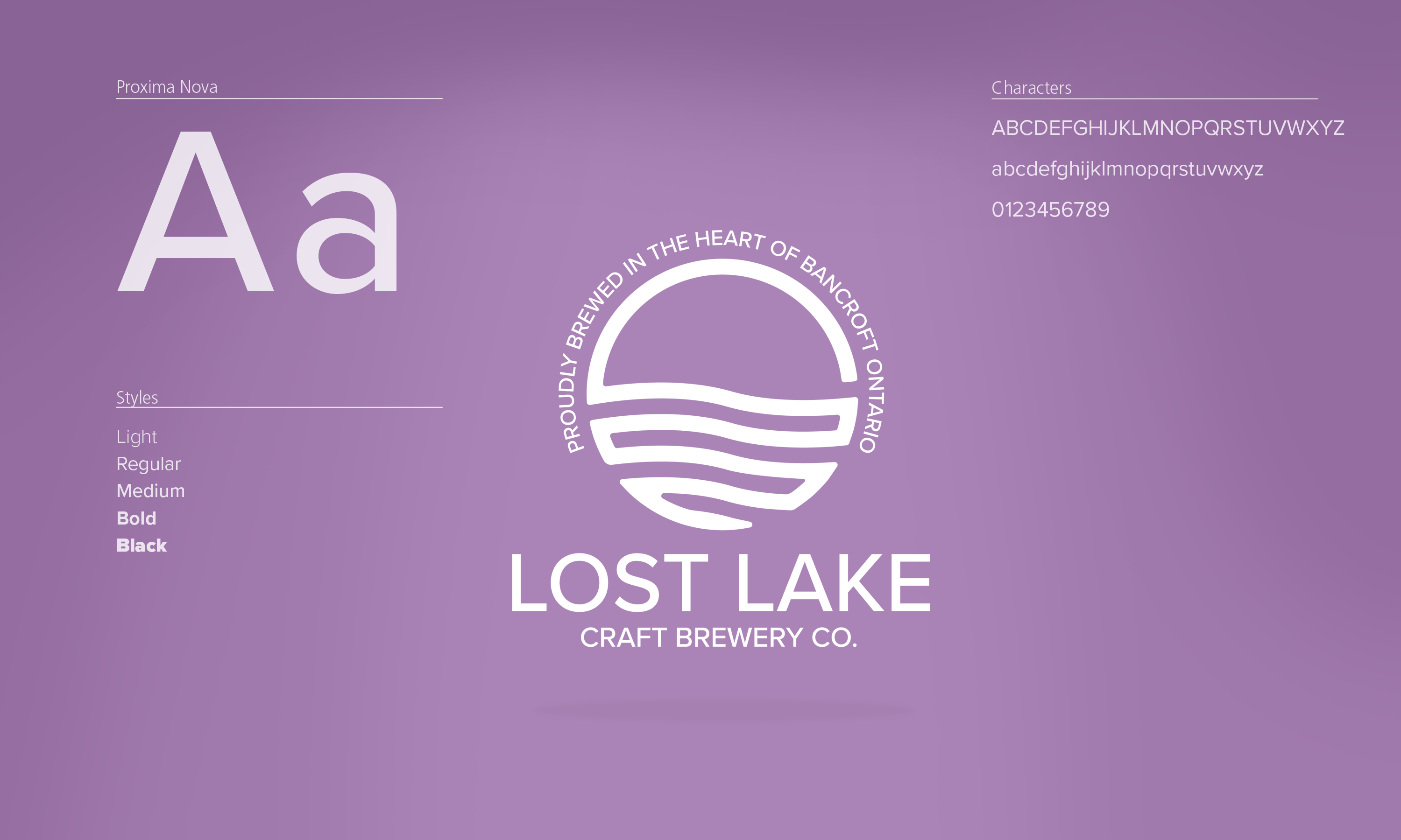 Lost lake identity with the breakdown of logo attributes